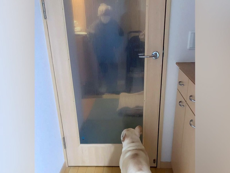 おばあちゃんの姿に大興奮 ドアのガラス越しに喜び爆発