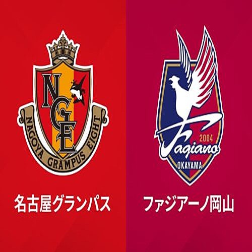 天皇杯3回戦の名古屋vs岡山が中止に 雷雨のため後半開始されず ライブドアニュース