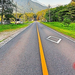 道路のオレンジ線に踏んで いい時と悪い時 場面によって異なる意味 ライブドアニュース