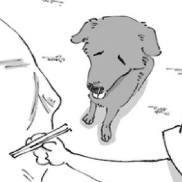 �����ζ��Ƥ�Ź�ǽй�ä����塼�Ȥʡֶ��Ƥ�ť����̡���ȿ��