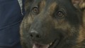 “スゴ鼻”警察犬ジゲン号 1年ぶり2度目...