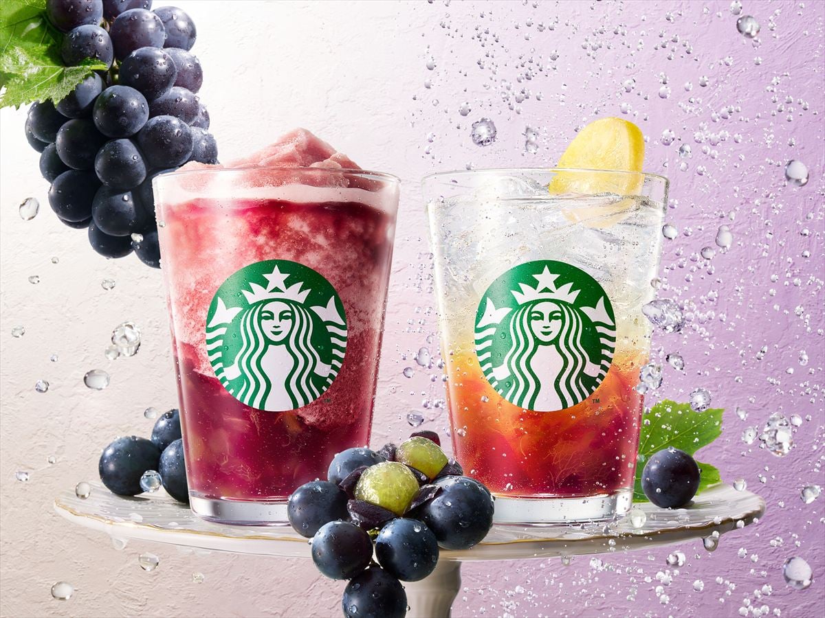 ��˧�� ���� �ե������� �ƥ����סʺ��ˤȡ֥���å��� ������ ������