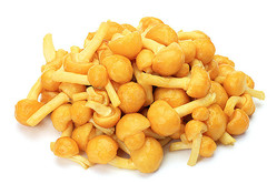 ザルが汚れない 洗い物ラクラク なめこ の便利な洗い方ワザ ライブドアニュース