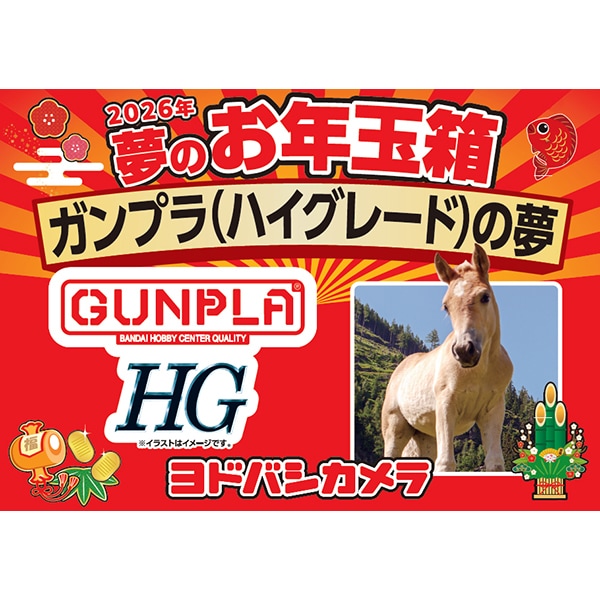 2ae83_1839_e824533dfd415e10282