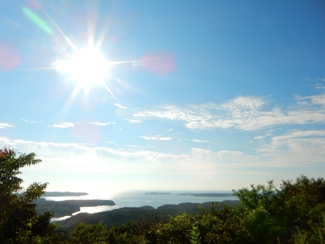 地元の新鮮な魚や貝がいっぱい 三重県にある「道の駅 伊勢志摩」