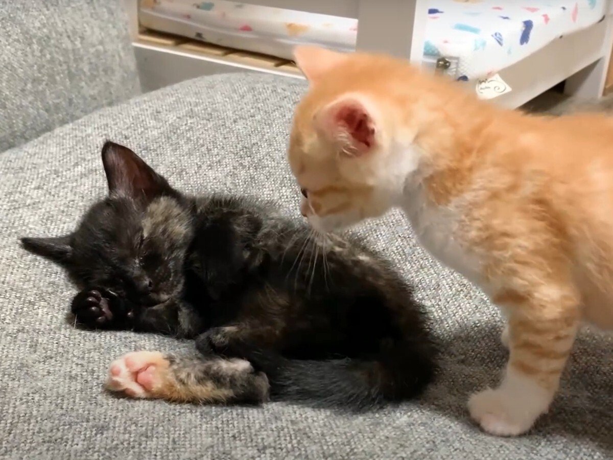 �����˵����뤫�ʡĤȻפ����䡪