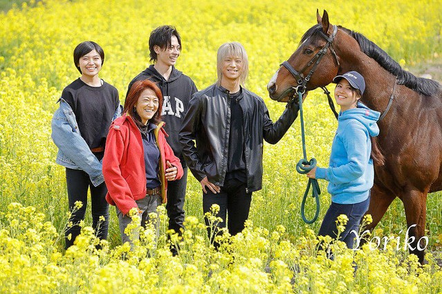 【違法】志村どうぶつ園出演の「白井家」愛馬を庭でバラバラに解体か