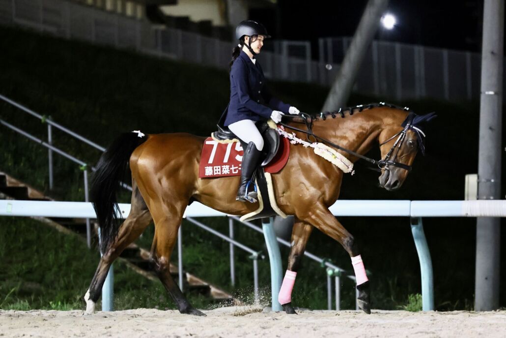 ブリーダーズGCで誘導馬に騎乗した藤田菜七子元騎手 (C)Hiroki Homma