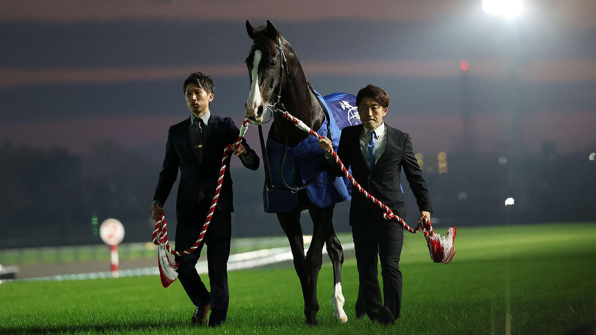 イクイノックス 引退記念 口取りチャーム 武豊騎手愛用 ソメスサドル製