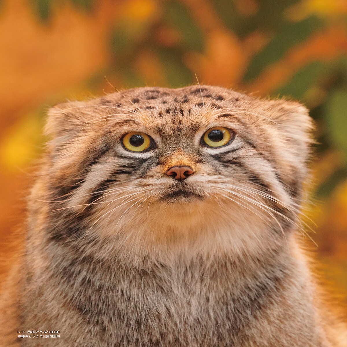 2c207_1830_8b0930b3_525f2b77-