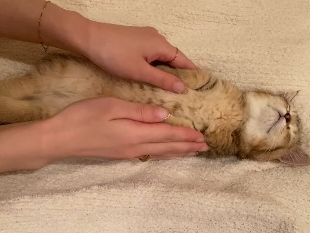 �����äȥ٥åɤ��֤��ȡ�