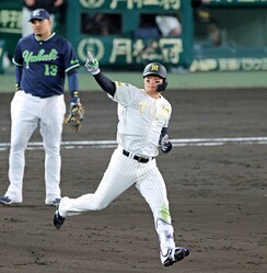 �����󡢣����������饤�ȥ�����ɤ�ؤ����ƥ�������ɤ��뿹��