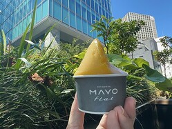 
			��Patissiere MAYO�פ���ݤ��롢ͽ�����פΥ����顼�ȤȾƤ��ۻ�Ź�������ץ󡪡������ϻ���ڡ�
		