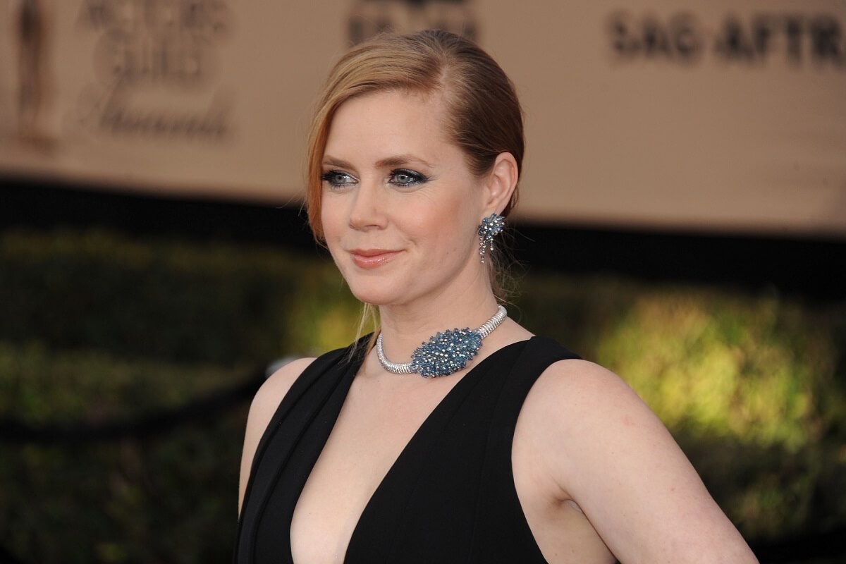 エイミー・アダムス、『イミテーション・ゲーム』脚本家のドラマに出演へ - ライブドアニュース