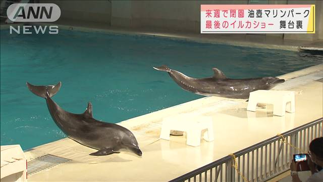 画像 閉園間近の水族館 長年支えたスタッフとイルカたち ライブドアニュース