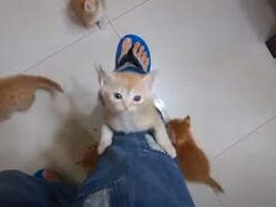 �������­���ФäƤ�����ǭ����