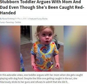 頑なに「触ってない」と主張する1歳児(画像は『GodUpdates.com 2020年5月1日付「Stubborn Toddler Argues With Mom And Dad Even Though She’s Been Caught Red-Handed」』のスクリーンショット)