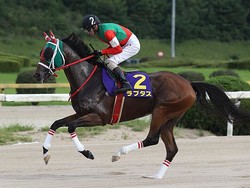 �ž�Ϣ����Υ�ץ�����1��1��(���ơ����շ���)