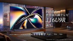 �������116�����������̥ƥ�ӡ��ϥ����󥹡�116U9R��