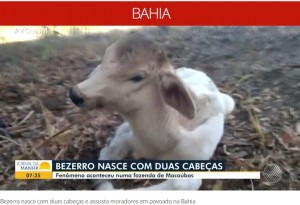 Ƭ��2�Ĥ���ҵ��������ʲ����ϡ�G1��2022ǯ7��21���ա�Bezerra nasce com duas cabeças e assusta moradores em povoado na Bahia: ��a mãe não deixava encostar nela�ǡס٤Υ����꡼�󥷥�åȡ�