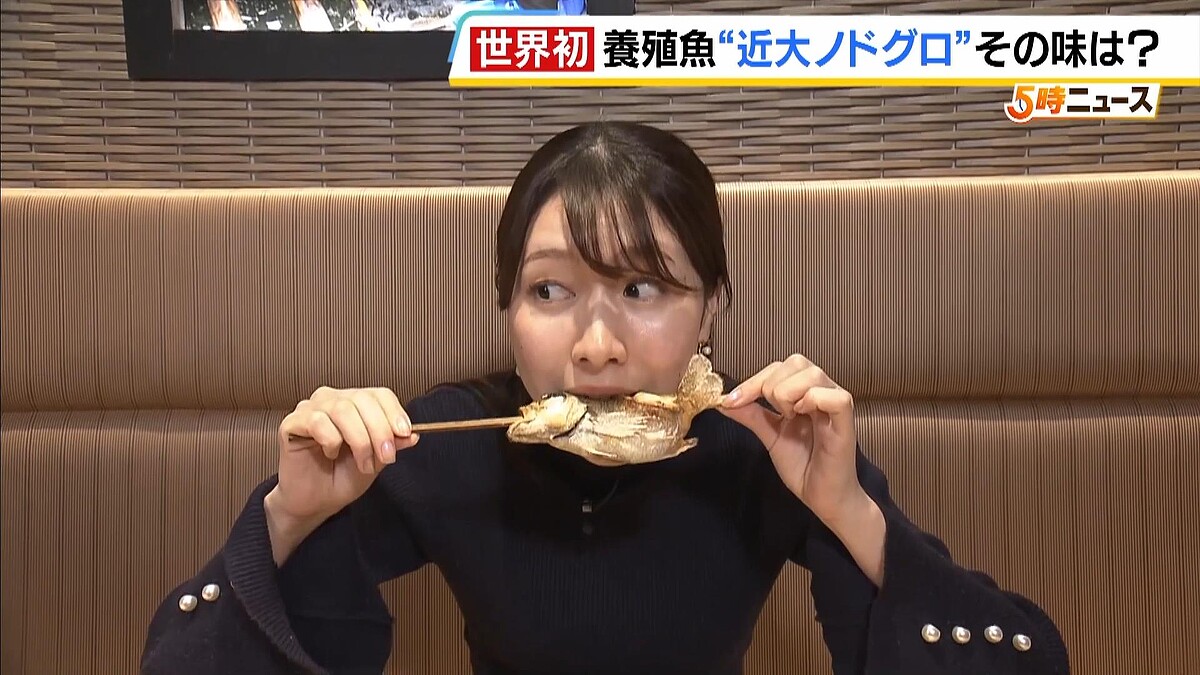  近大ノドグロの姿焼きの味は？　世界初・完全養殖に成功！　その味を２６日からレストランで提供　店長「脂がギュッと小さい体の中に詰まっている」　 