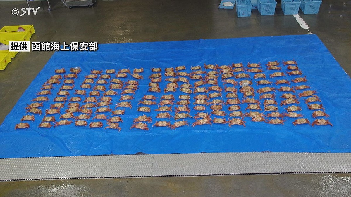 STVニュース北海道