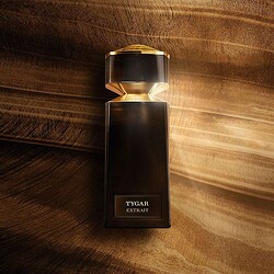 �֥륬�꤬̾��֥� ������� ���������פ�ǻ�̡����ȥ饹 ���åǥ����ꥻ�󥷥奢���