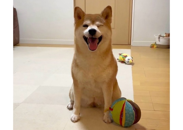 ͽ�۳��ξ��ˡ������ơפ����� SNS��5.3�������ͽ����