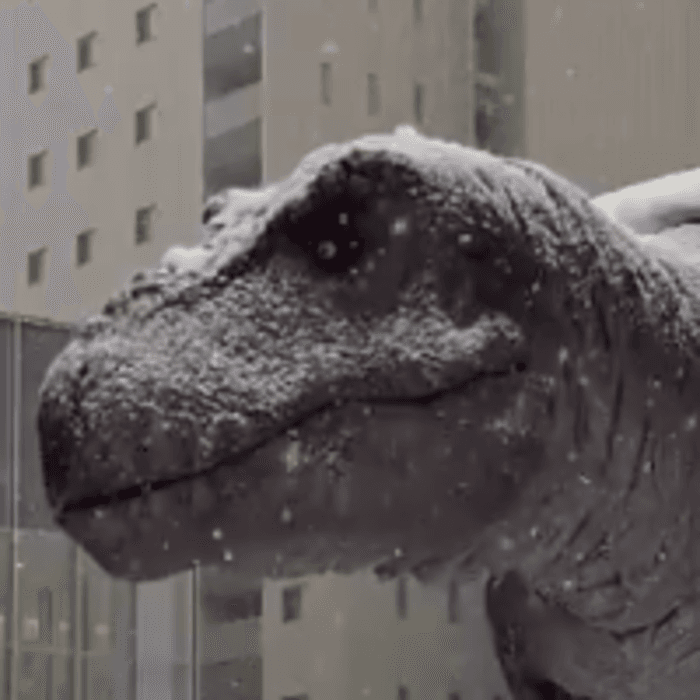 大雪の中でも動き続ける福井駅前の恐竜ロボット/投稿主さん提供