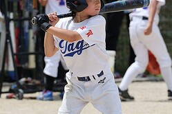 �������ɤ��Ѥ�����ۤ��Ƿ�Υ��ƥåפȤϡʼ̿��ϥ��᡼����