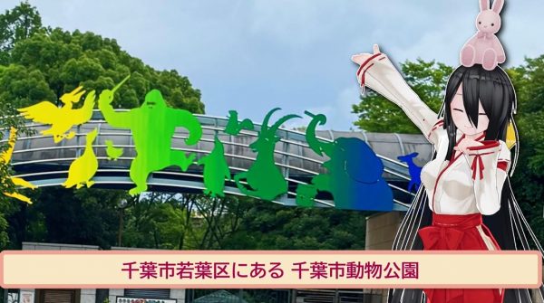 レッサーパンダ・風太くんの23歳の誕生日をお祝い！ 千葉市動物公園の
