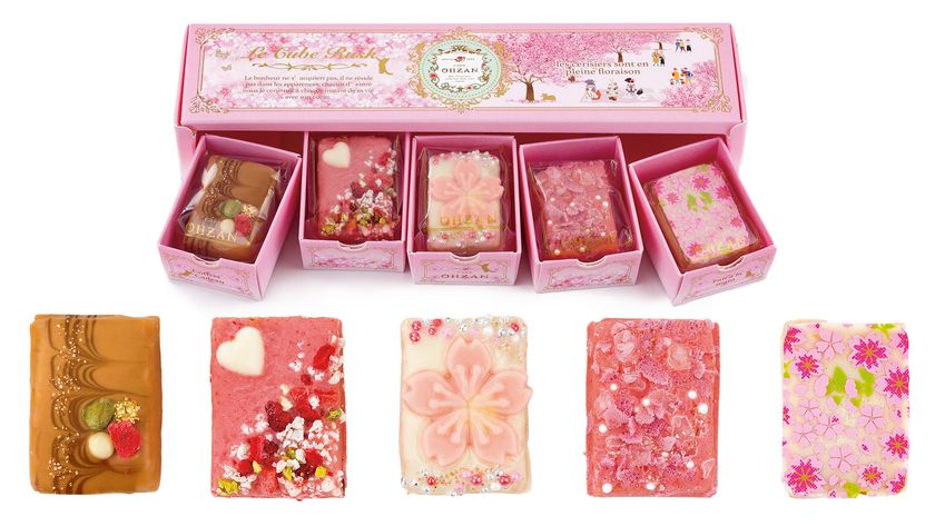 パッケージには、お花見にぴったりの一日をデザイン！CAFE OHZAN「桜