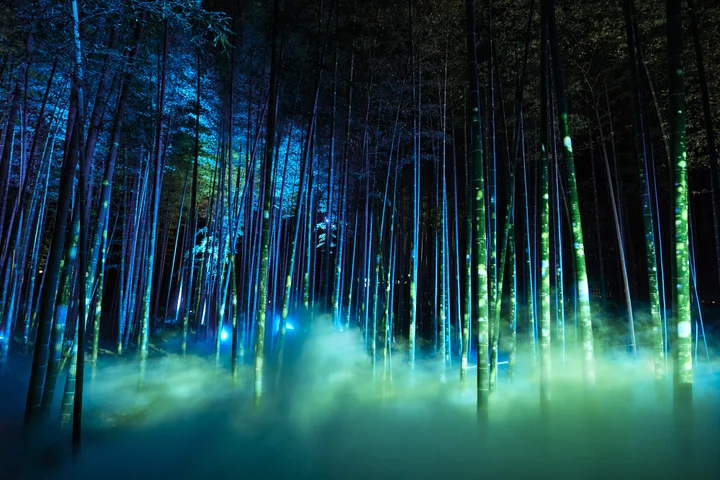 画像が削除されました