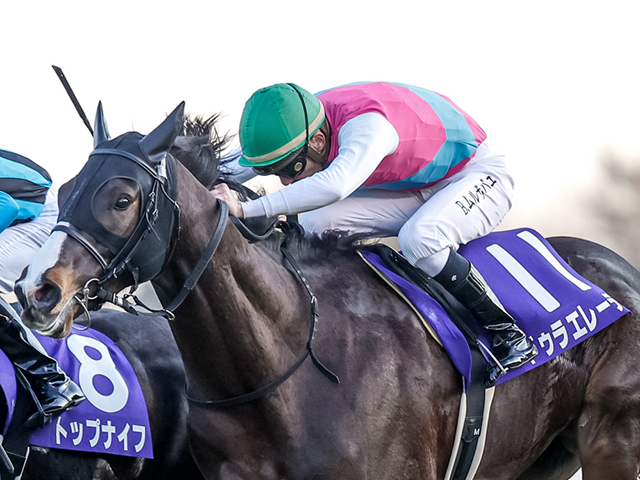 【UAEダービー枠順】ホープフルS覇者ドゥラエレーデは8番など 日本の3歳馬4頭が出走 ライブドアニュース