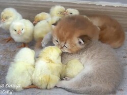 �����椬��դ�աġ�