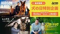 「犬の日」はワンコドラマ祭り！『毎年恒例！犬の日特別企画』11月1日（土）10：00放送スタート（海外ドラマNAVI）