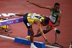 ˻3000᡼ȥ㳲ͽžݤ륮ޡʱˡڼ̿