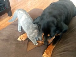 ���áĤ���Ĥ��ġ�