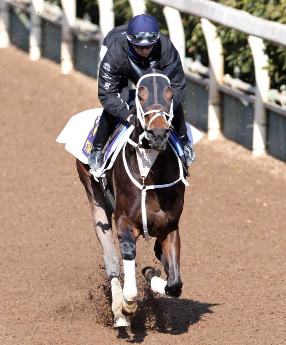 G1連勝へ向けて好ムードを漂わせるダブルハートボンド(撮影・中田匡峻)