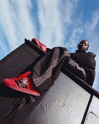 ���ǥ����� ���ꥸ�ʥ륹�����ȥ��ȯ���ȥ꡼�ȥ֥��ɤȽ饳��ܡ��ѥƥ�ȥ쥶���Υ����ѡ���������ȯ��