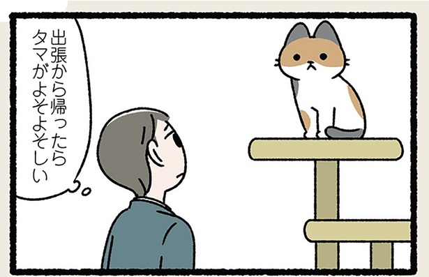 ねこによるゆる〜い世界