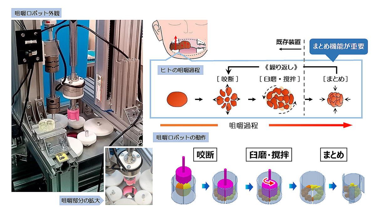 J-オイルミルズ、世界初という咀嚼ロボットを大阪大と開発、複雑な食感の評価が可能に