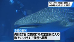 テレビ金沢NEWS