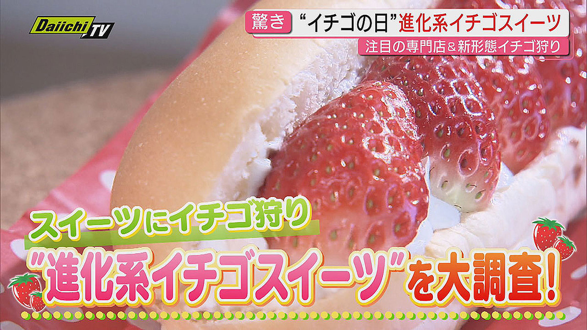 Daiichi-TV(静岡第一テレビ)