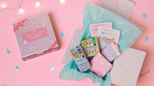 あかねこのは様専用 ティッシュケース79 初めて生理がきた娘に…文具