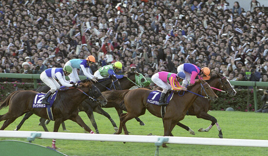 競馬 覇王 超レア】競馬必勝法本 覇王 発売元開成堂 定価8万