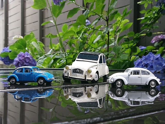 北へ、南へ、シトロエン2CVと30年│第3回：シトロエン2CVとVWビートル