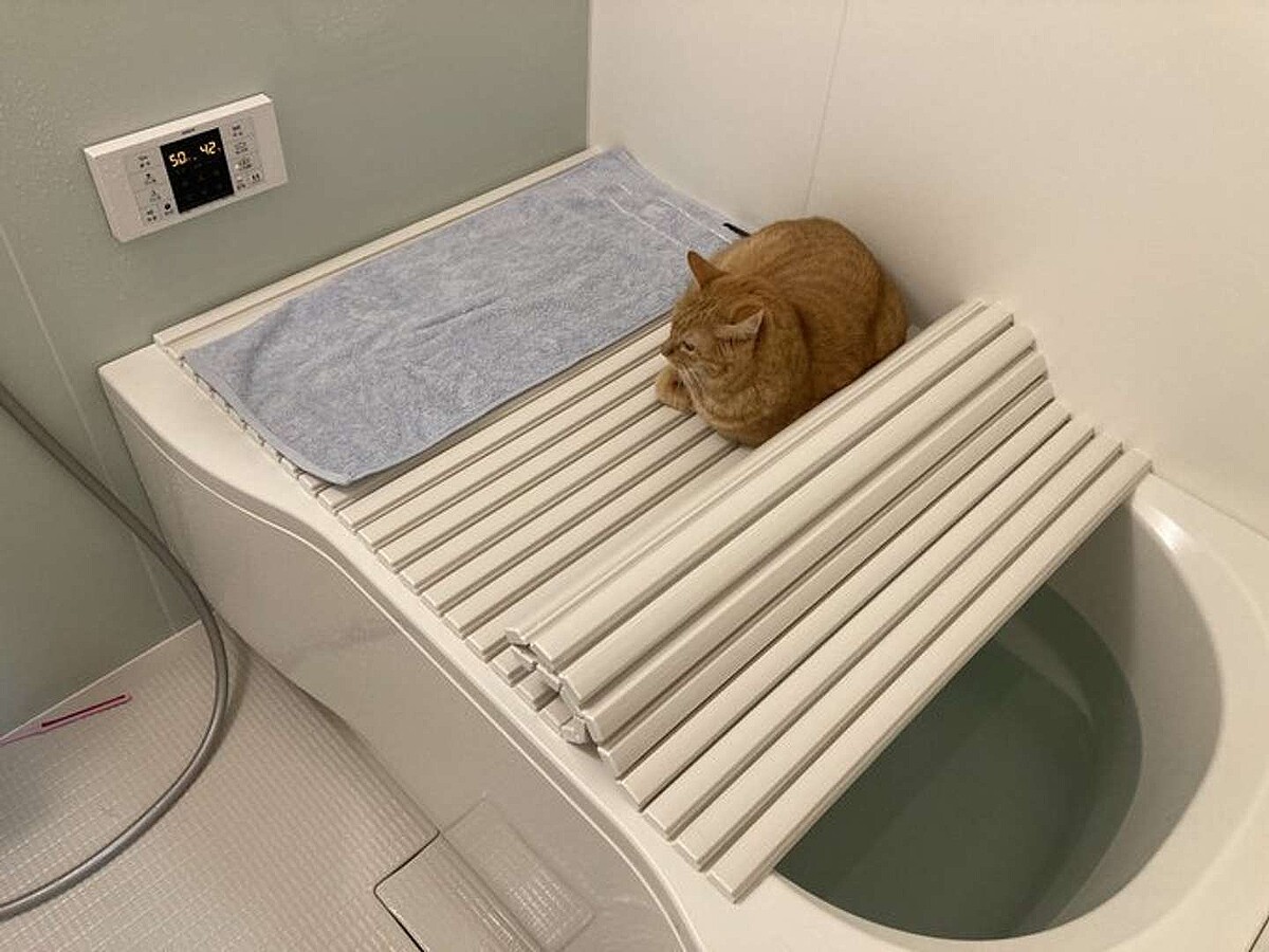 猫がニンゲンに与えた?入浴スペース?がこちらです 「わかり味が深い