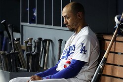 �ɥ��㡼���Υࡼ�������٥åġڼ̿�������������