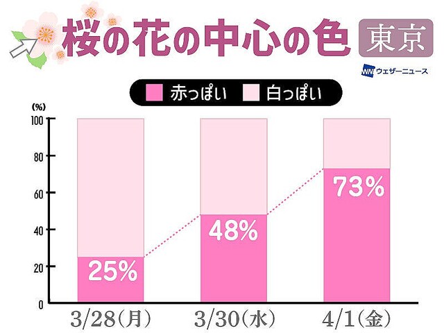 桜の花に 散り始めサイン が出現中 東京は早くも桜吹雪に ライブドアニュース